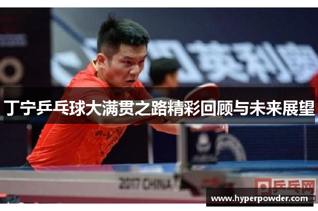 丁宁乒乓球大满贯之路精彩回顾与未来展望