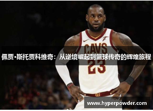佩贾·斯托贾科维奇：从逆境崛起到篮球传奇的辉煌旅程