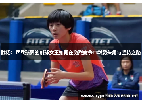 武杨：乒乓球界的削球女王如何在激烈竞争中崭露头角与坚持之路