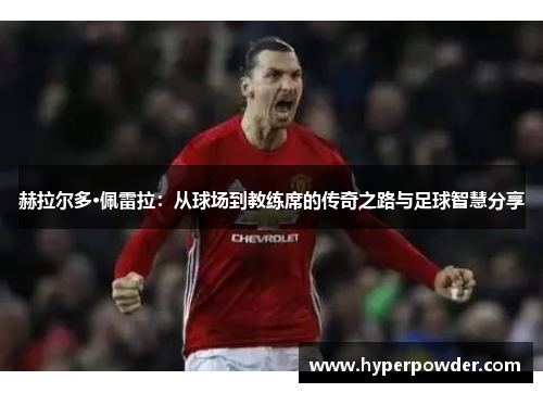 赫拉尔多·佩雷拉：从球场到教练席的传奇之路与足球智慧分享