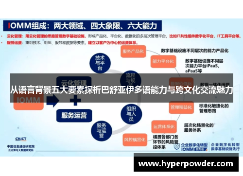 从语言背景五大要素探析巴舒亚伊多语能力与跨文化交流魅力
