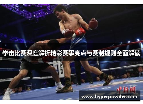 拳击比赛深度解析精彩赛事亮点与赛制规则全面解读